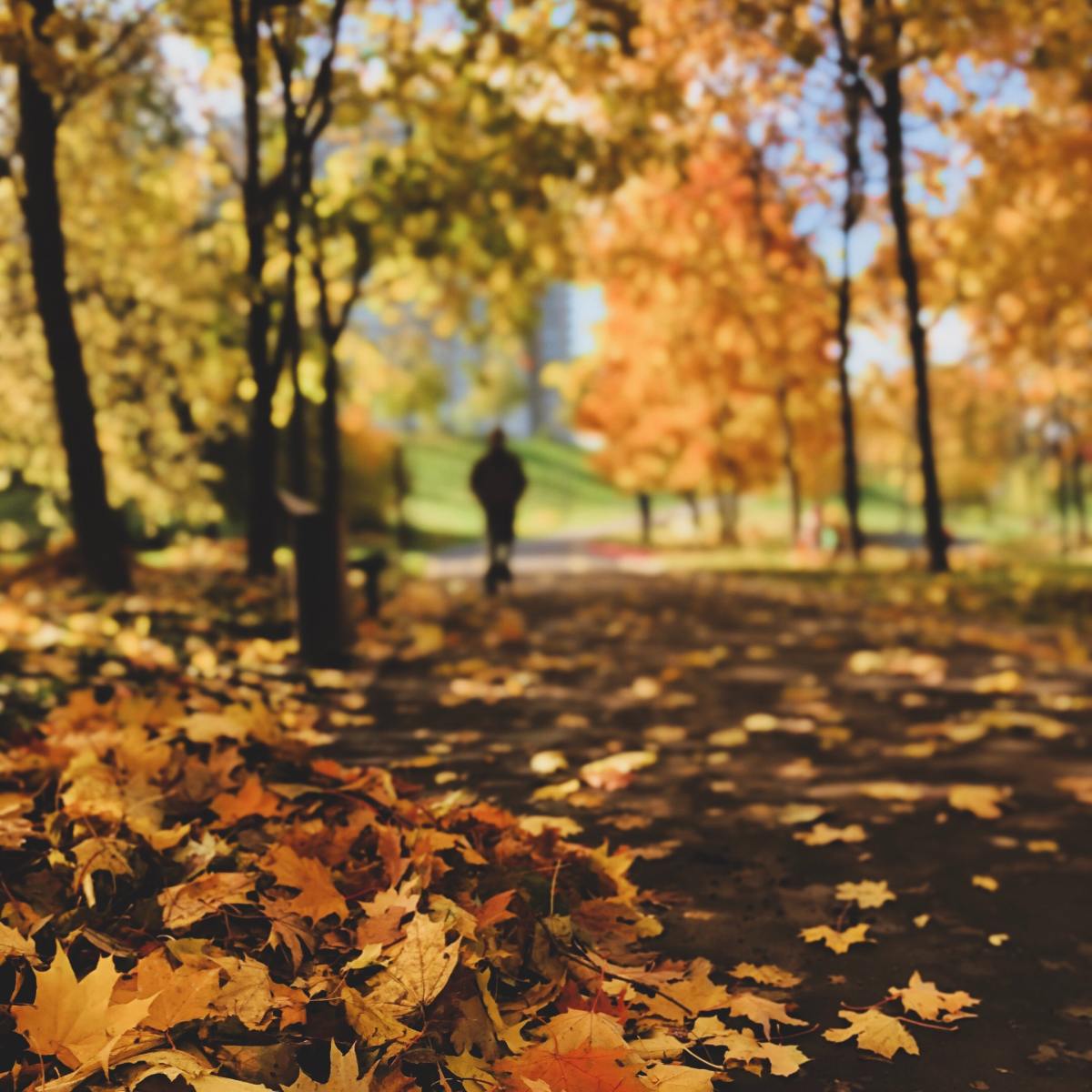 How He did the&nbsp;Dare