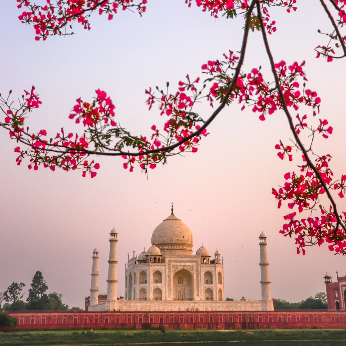 This is the nation I was born&nbsp;into